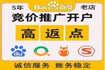 案例展示：SEM助力中小企业拓展市场
